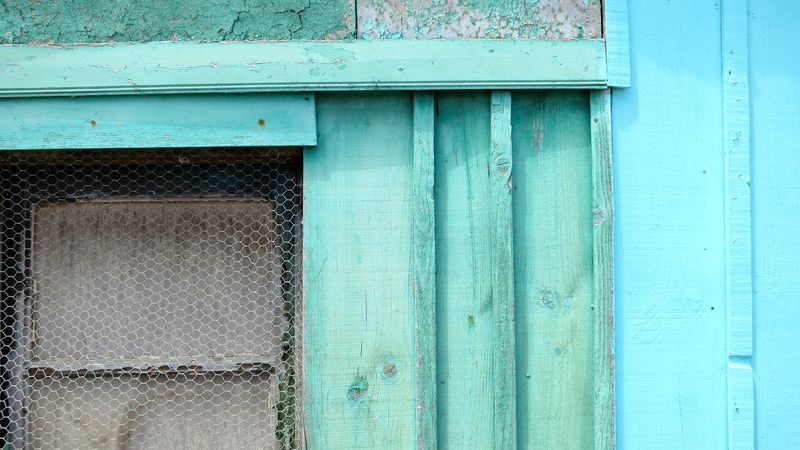 A photo of an aquamarine and sky blue farm wall in northern France. There’s a chicken-wire covered window in it