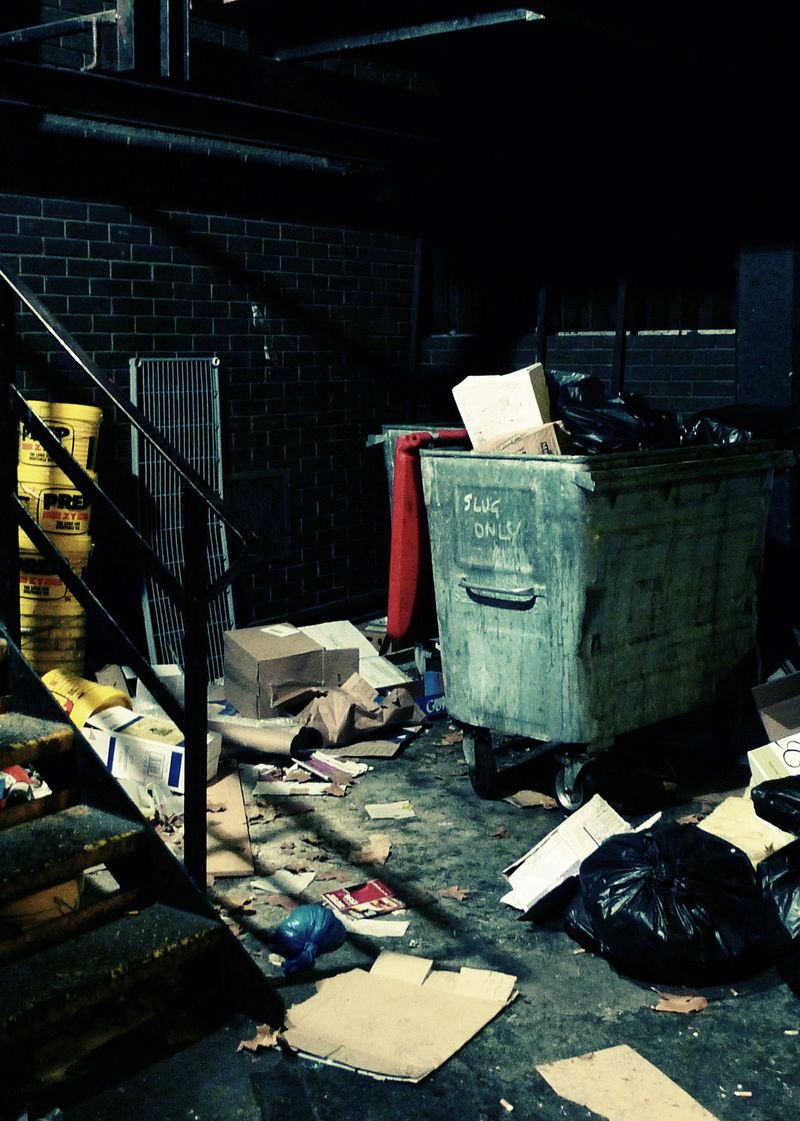 A photo of a skip in a dirty London alley with a bad aura. The skip has the words ‘SLUG ONLY’ written on it