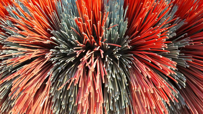 A photo of the red and blue bristles of some industrial farming equipment in northern France