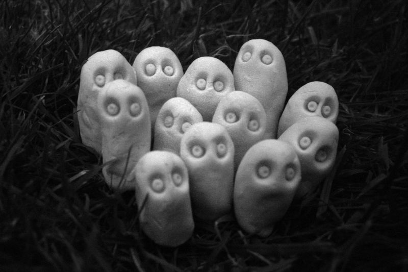 A black and white photo of 12 little Fimo figurines in the grass. They resemble Japanese Kodama spirits