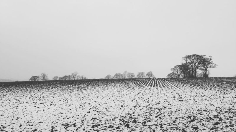 A black and white photo of a desolate, snowy field. The furrows in the field have created a moire effect