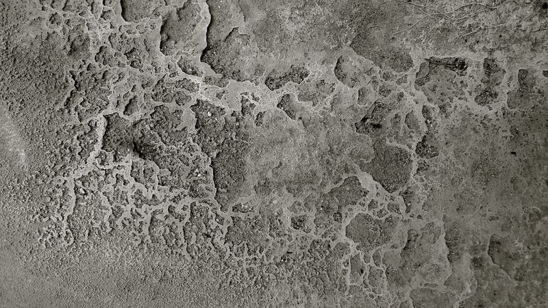 A photo of some weathered concrete. It’s hard to judge the scale - it could be a photo of the surface of the moon