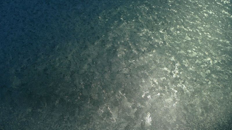 A photo of frost that has formed on the roof of a car on a cold winter morning